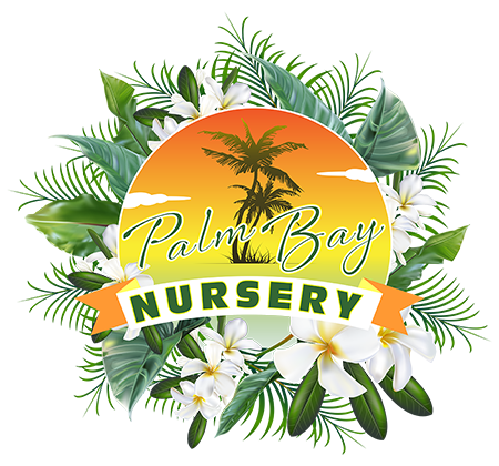 Palm Bay Nursey